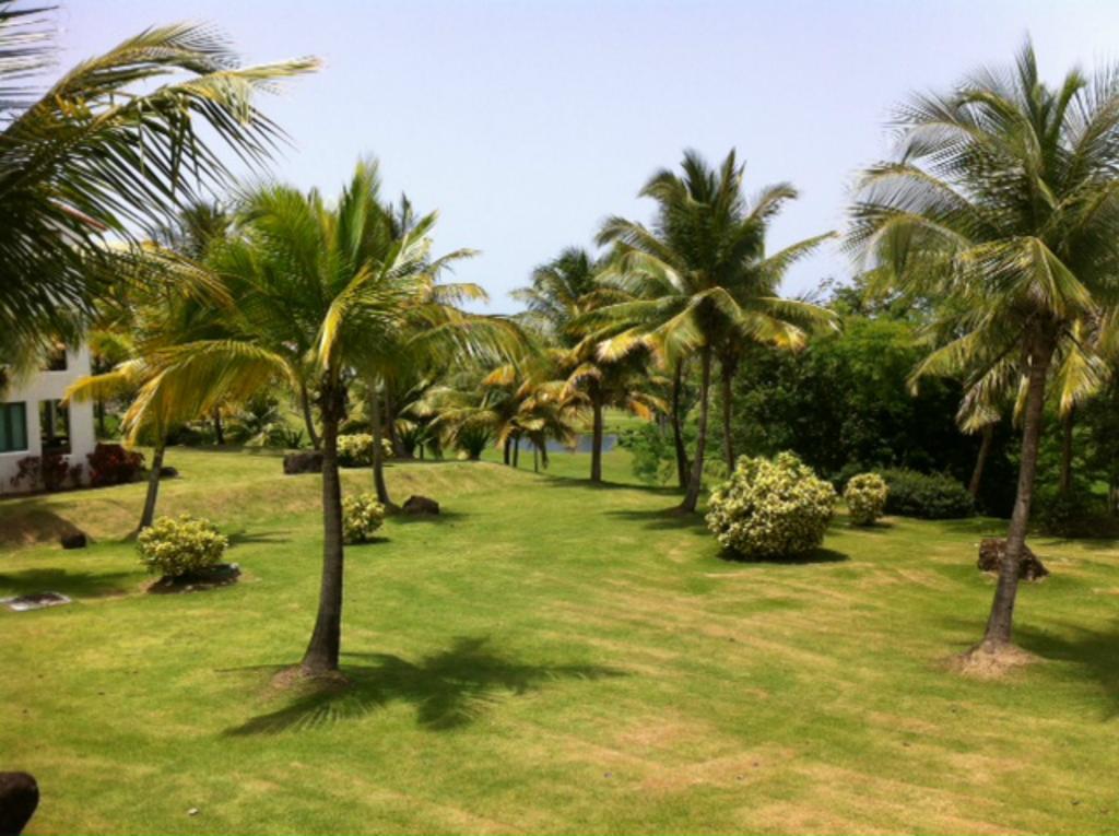 Rio Mar Village - Golf Course View Рио Гранде Екстериор снимка